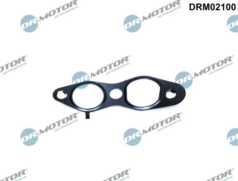 Tarpiklis, EGR vožtuvas Dr.Motor Automotive DRM02100