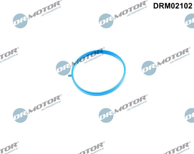 Tarpiklis, įsiurbimo kolektorius Dr.Motor Automotive DRM02102