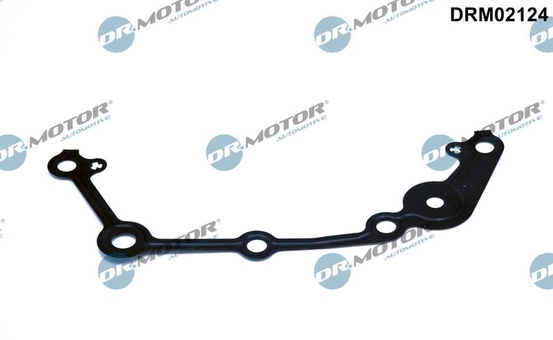 Gasket, timing case Dr.Motor Automotive DRM02124