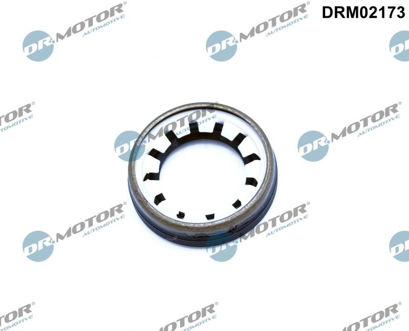 Shaft Seal, differential Dr.Motor Automotive DRM02173