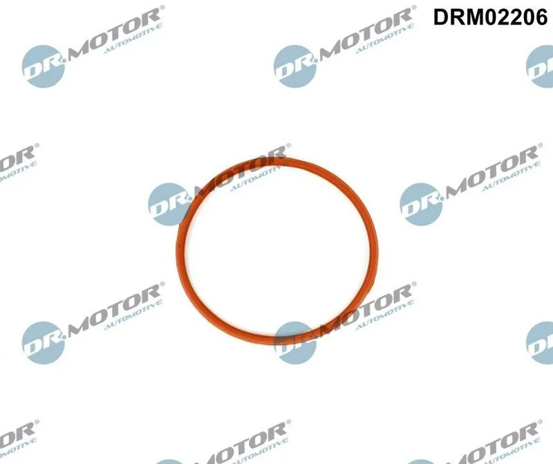 Ущільнення, впускний колектор Dr.Motor Automotive DRM02206