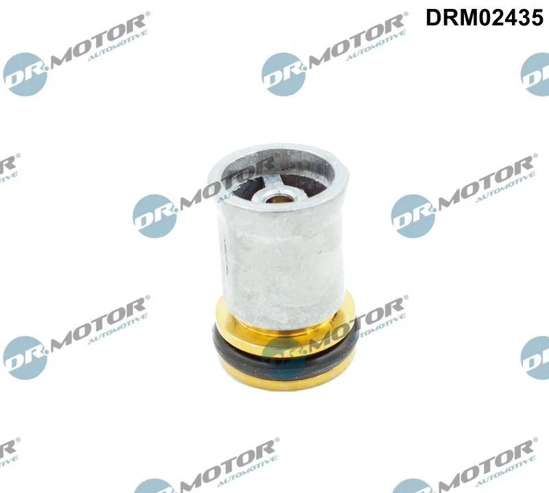 Non-Return Valve Dr.Motor Automotive DRM02435