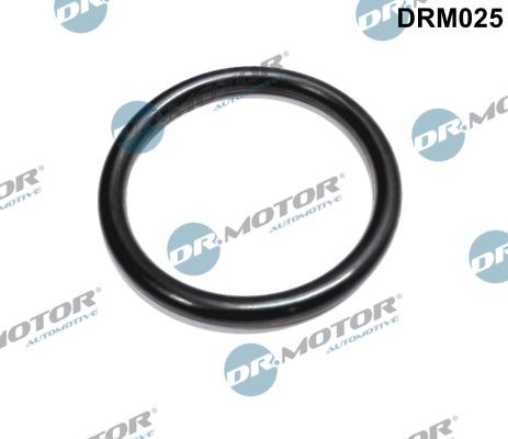 Ущільнення, корпус дросельної заслінки Dr.Motor Automotive DRM025