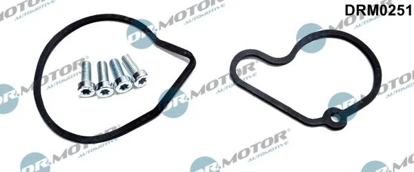 Remonto komplektas, vakuumo siurblys (stabdymo įrenginys) Dr.Motor Automotive DRM0251