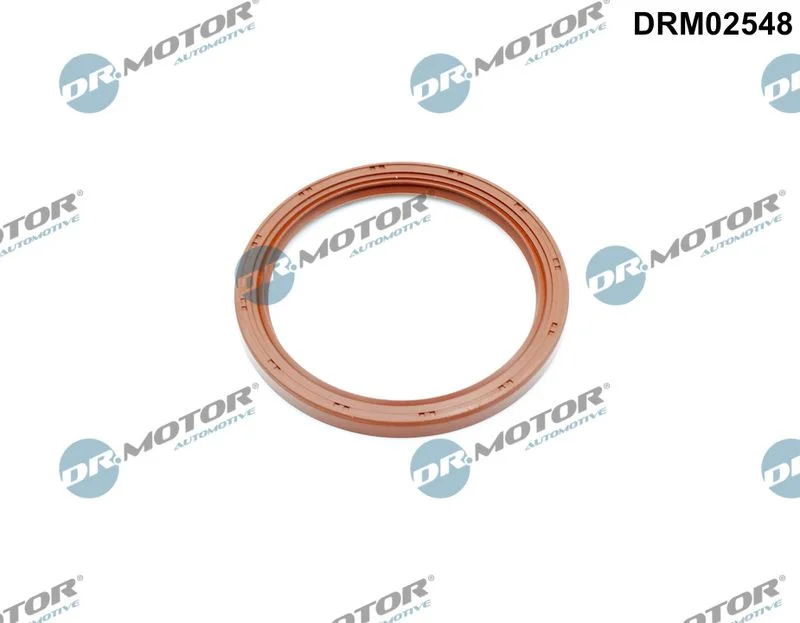 572 Dr.Motor Automotive DRM02548