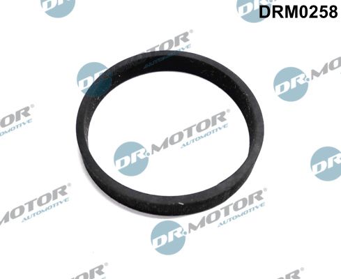 Seal, turbine inlet (charger) Dr.Motor Automotive DRM0258