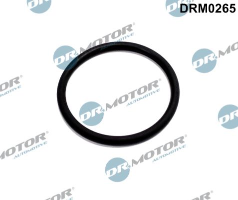 Tarpiklis, EGR vožtuvo vamzdelis Dr.Motor Automotive DRM0265