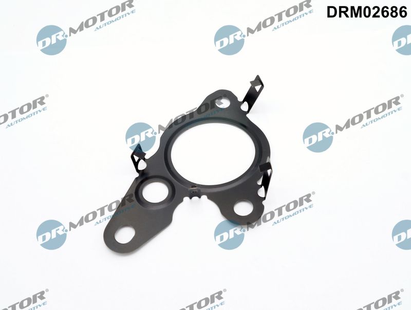 Gasket, EGR valve Dr.Motor Automotive DRM02686