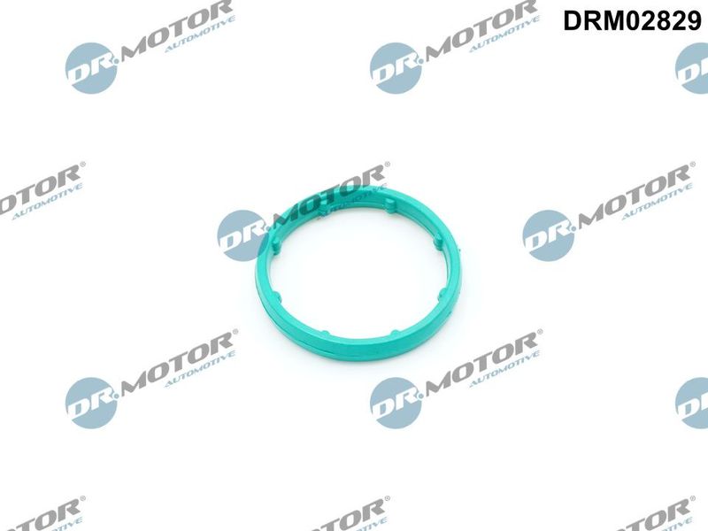 Ущільнення, оливний радіатор Dr.Motor Automotive DRM02829