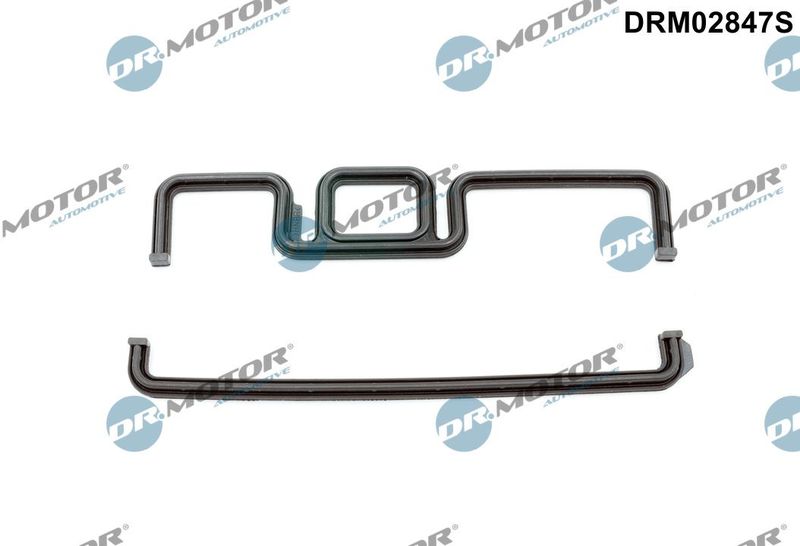 Gasket, timing case Dr.Motor Automotive DRM02847S