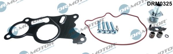 Remonto komplektas, vakuumo siurblys (stabdymo įrenginys) Dr.Motor Automotive DRM0325