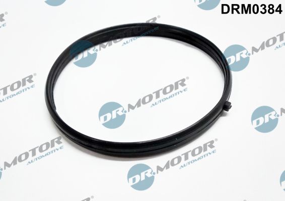 Ущільнення, впускний колектор Dr.Motor Automotive DRM0384