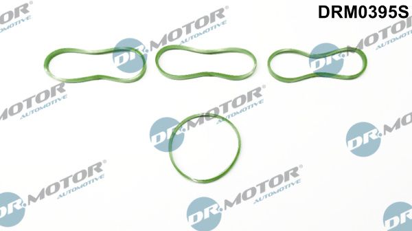 Gasket Set, intake manifold Dr.Motor Automotive DRM0395S