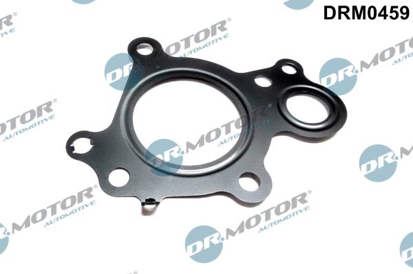 Gasket, EGR valve Dr.Motor Automotive DRM0459