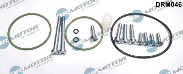 Remonto komplektas, vakuumo siurblys (stabdymo įrenginys) Dr.Motor Automotive DRM046