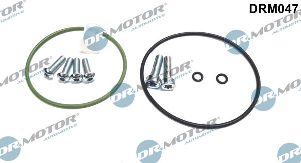 Repair Set, vacuum pump (braking system) Dr.Motor Automotive DRM047