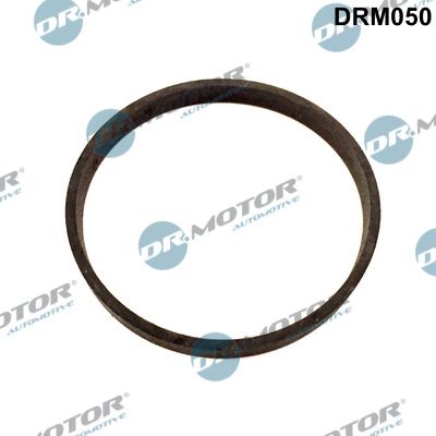 Tarpiklis, EGR vožtuvas Dr.Motor Automotive DRM050