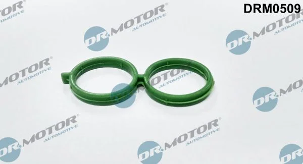 Ущільнення, клапан регулювання холост.ходу (подача повітря) Dr.Motor Automotive DRM0509