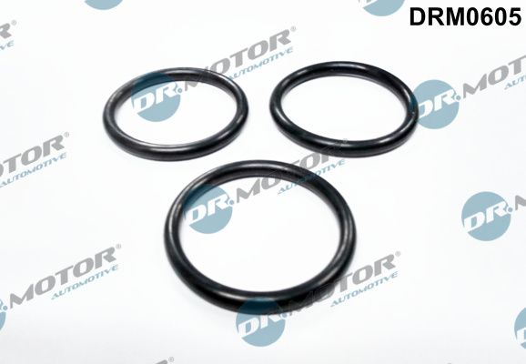 Gasket, water pump Dr.Motor Automotive DRM0605