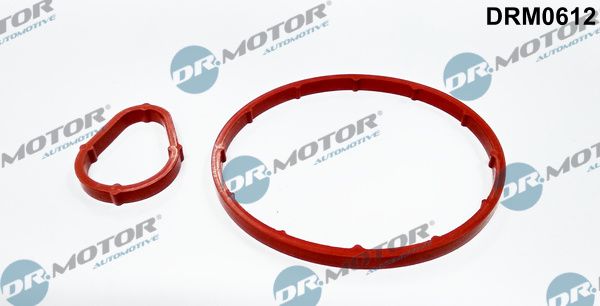 Tarpiklių rinkinys, vakuuminis siurblys Dr.Motor Automotive DRM0612