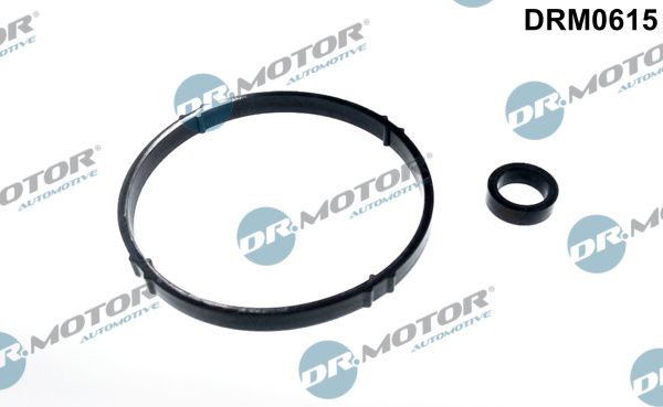 Gasket Set, oil cooler Dr.Motor Automotive DRM0615