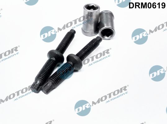 Гвинт, тримач інжекторної форсунки Dr.Motor Automotive DRM0619