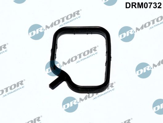 Seal, coolant pipe Dr.Motor Automotive DRM0732