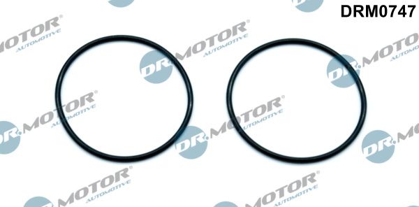 Gasket, vacuum pump Dr.Motor Automotive DRM0747