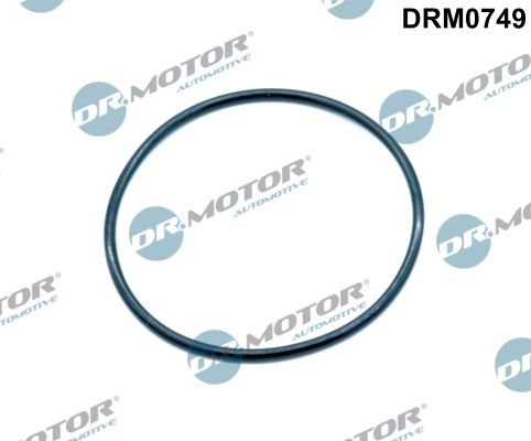 Tarpiklis, EGR vožtuvas Dr.Motor Automotive DRM0749