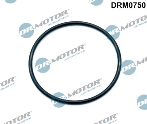 Gasket, throttle body Dr.Motor Automotive DRM0750