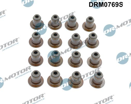 Tarpiklių komplektas, vožtuvo šerdis Dr.Motor Automotive DRM0769S