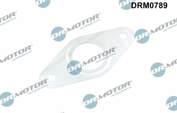 Ущільнення, лінія клапана системи рециркуляції ВГ Dr.Motor Automotive DRM0789