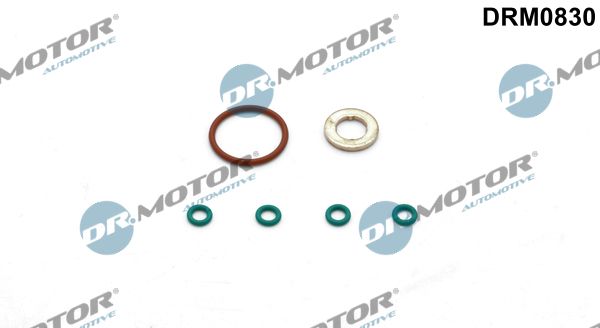 Seal Kit, injector nozzle Dr.Motor Automotive DRM0830