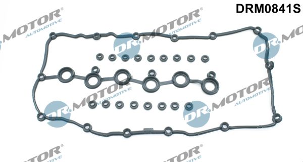 Tarpiklių komplektas, svirties gaubtas Dr.Motor Automotive DRM0841S