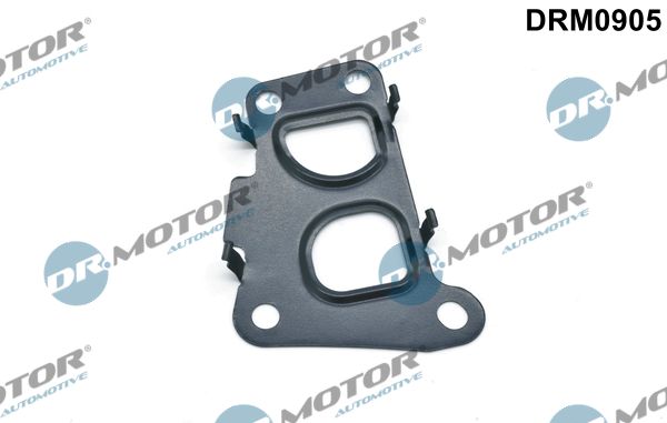 Gasket, EGR valve Dr.Motor Automotive DRM0905