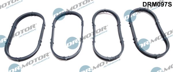 Tarpiklių rinkinys, įsiurbimo kolektorius Dr.Motor Automotive DRM097S