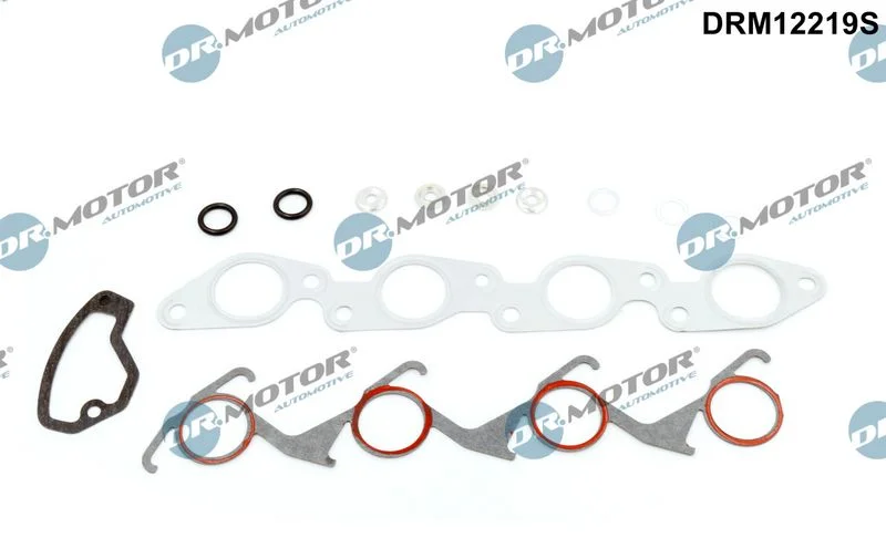Повний комплект ущільнень, двигун Dr.Motor Automotive DRM12219S