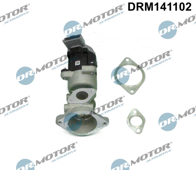 ERG vožtuvas Dr.Motor Automotive DRM141102