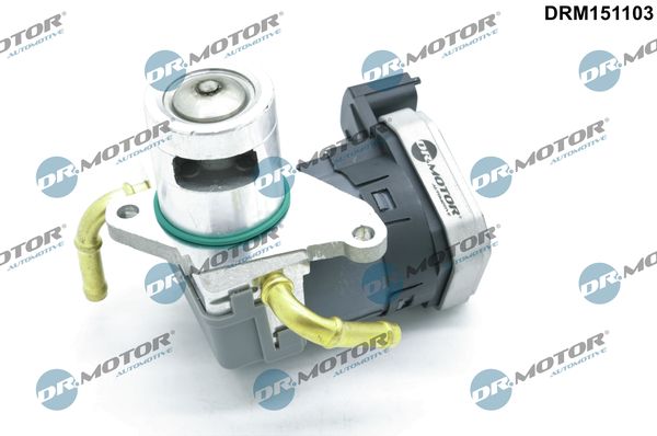 ERG vožtuvas Dr.Motor Automotive DRM151103