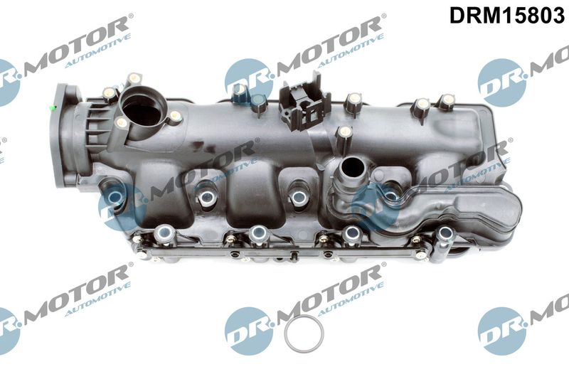 Įsiurbimo kolektoriaus modulis Dr.Motor Automotive DRM15803