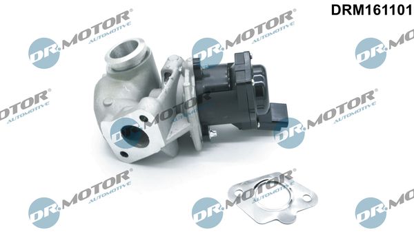 EGR Valve Dr.Motor Automotive DRM161101