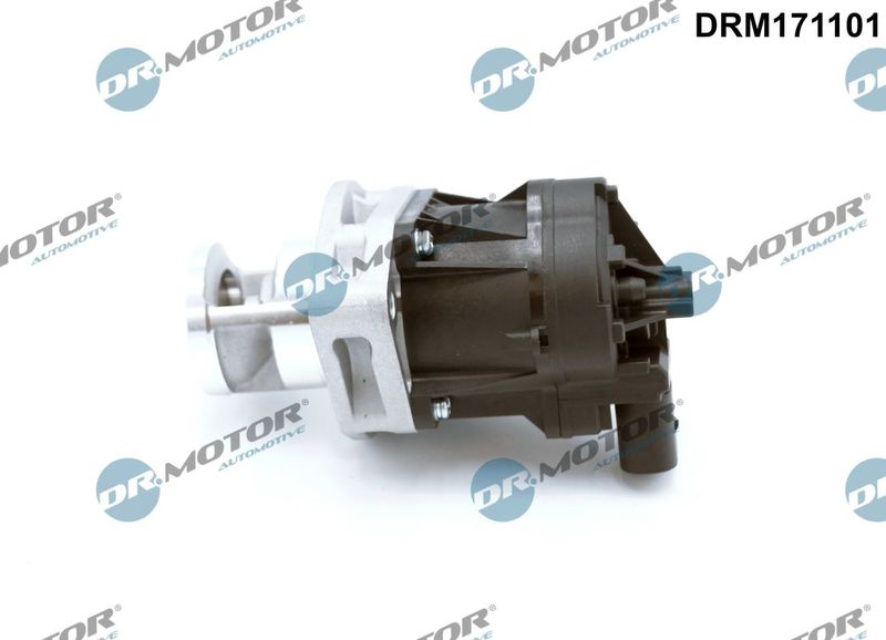 ERG vožtuvas Dr.Motor Automotive DRM171101