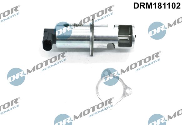 EGR Valve Dr.Motor Automotive DRM181102