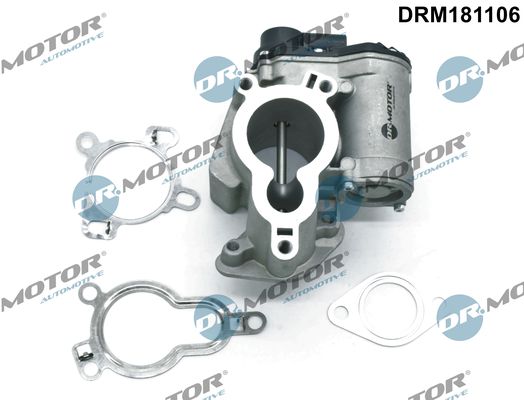 ERG vožtuvas Dr.Motor Automotive DRM181106