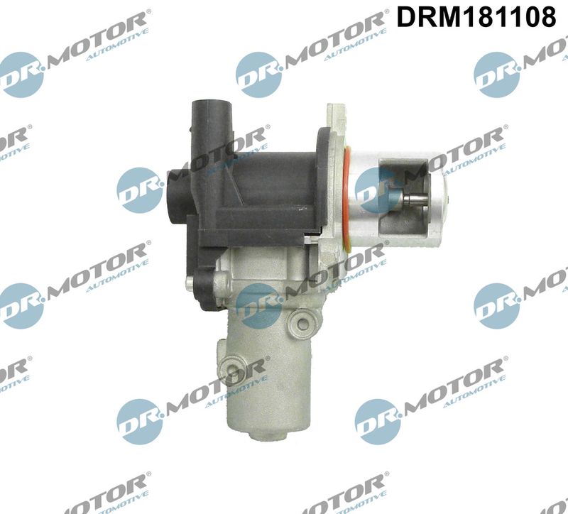 EGR Valve Dr.Motor Automotive DRM181108