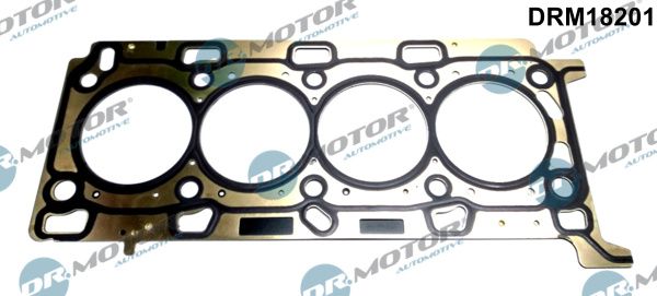 Gasket, cylinder head Dr.Motor Automotive DRM18201