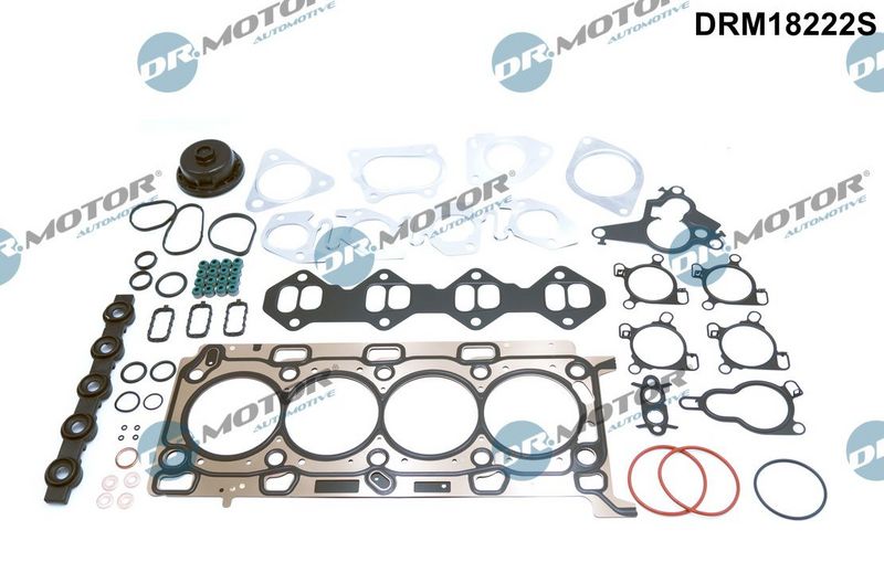 Повний комплект ущільнень, двигун Dr.Motor Automotive DRM18222S