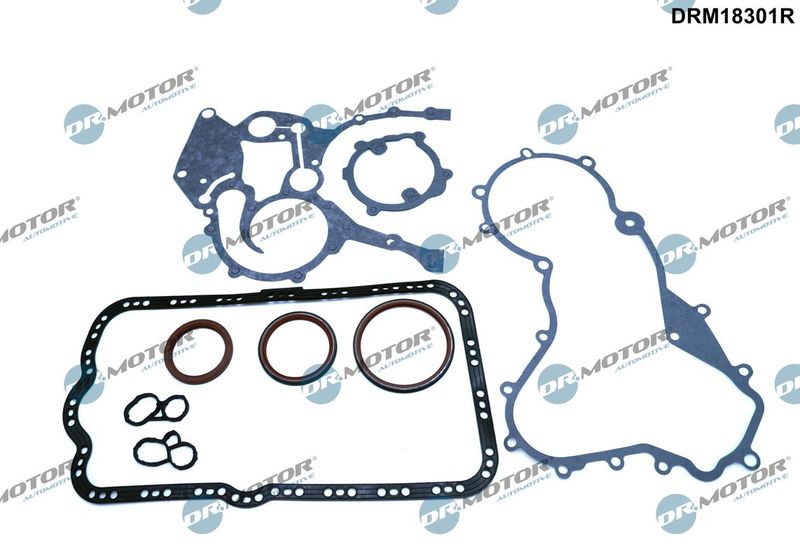 Gasket Kit, crankcase Dr.Motor Automotive DRM18301R