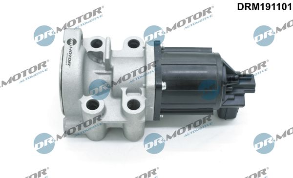 EGR Valve Dr.Motor Automotive DRM191101