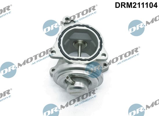 EGR Valve Dr.Motor Automotive DRM211104